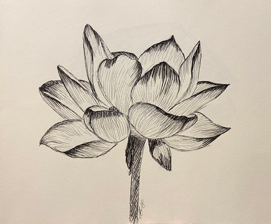 Original Drawing- Lotus