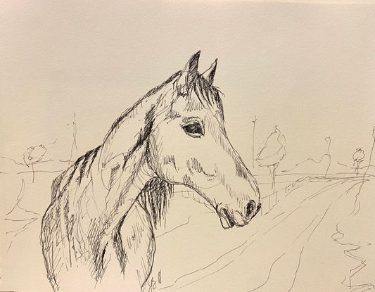 Original Drawing- Horse in Focus